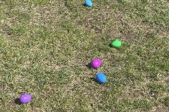 egg-hunt